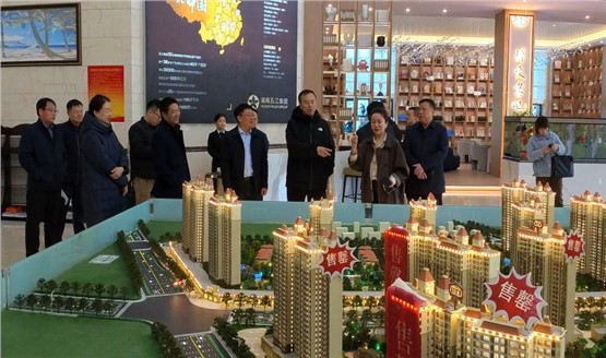 哈密市領導調研湘恒房地產項目