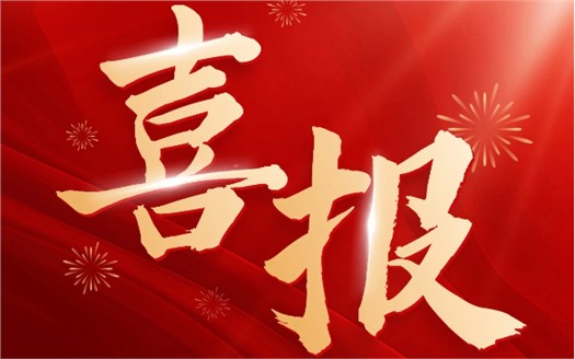 集團榮膺2025中國民營企業(yè)500強第249位，制造業(yè)民營企業(yè)500強第177位，排名較去年雙雙大幅提升